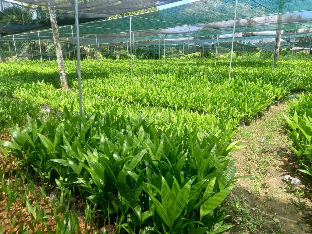 187a1412132f83da9f9312842efec339 2784328195777432912